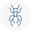 Ant Removals In Caldicot