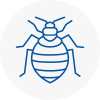 Bed Bug Extermination In Caldicot