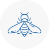 Bee Nest Removal Caldicot