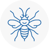 Caldicot Hornet Nest Removals
