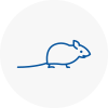 Mice Exterminators In Caldicot