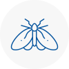 Moth Control Specialists In Caldicot