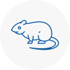Rat Control Caldicot