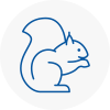 Caldicot Rodent Removals